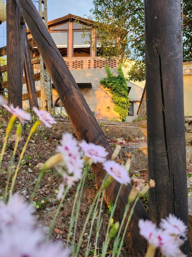 Il Giuggiolo - La Collina Della Quiete Panzió Certaldo Kültér fotó