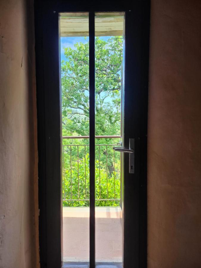 Il Giuggiolo - La Collina Della Quiete Panzió Certaldo Kültér fotó
