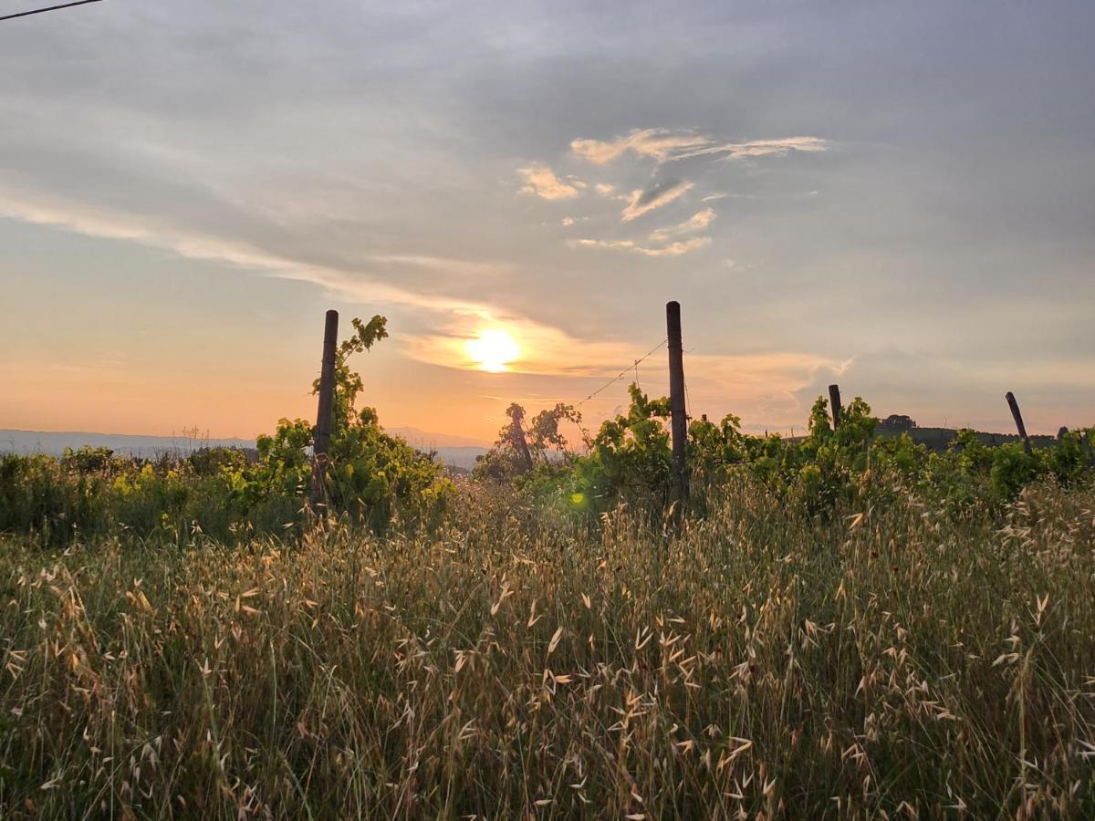 Il Giuggiolo - La Collina Della Quiete Panzió Certaldo Kültér fotó